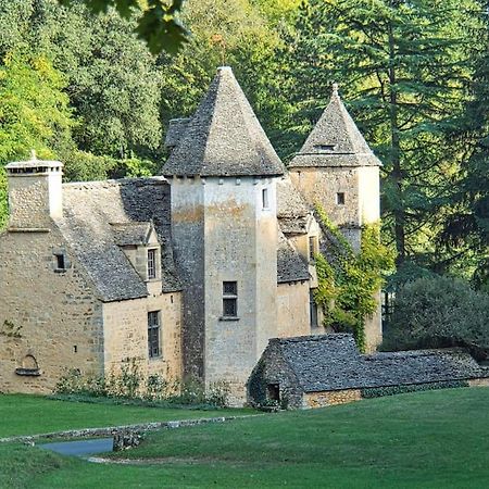 Logement D'Exception Dans Le Chateau De Lacypierre Saint-Crépin-et-Carlucet Zewnętrze zdjęcie